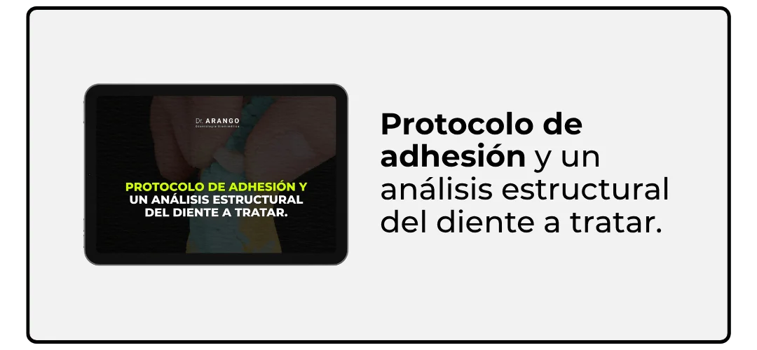 Módulo 3